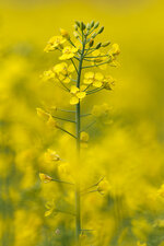 20130510-IMG_7483.jpg
