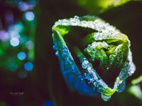 fb_P5180603_bea.jpg