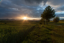 IMG_5942-2.jpg