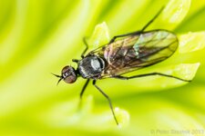 comp_EOS 5D Mark III-8077 - LR4.jpg