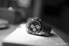 _DSC4915.jpg