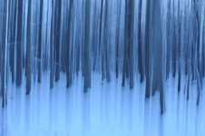 wischer_2012-12-14_037.jpg