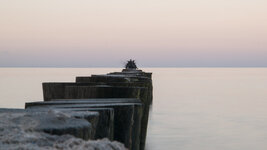 ostsee_sonnenuntergang_und_reiher_01.jpg