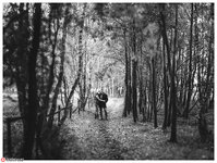 alex_biene_11bw.jpg