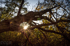 Herbst Web web-1.jpg