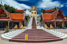 P1040784-web.jpg