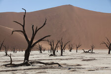 namibia3.jpg