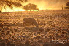 namibia5.jpg