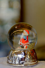 DSCF3518.jpg
