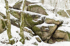 IMG_1357.jpg IMG_1357.jpg