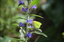 IMG_1664aCopy.jpg
