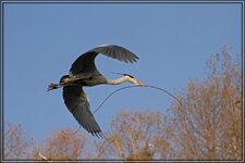 IMG_8826.jpg