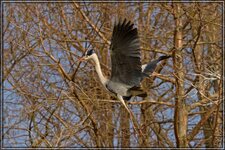 IMG_8831.jpg