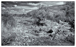 pilanesberg_008.jpg