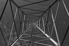 _DSF8647.jpg
