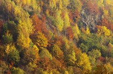 K5110191.jpg K5110191.jpg