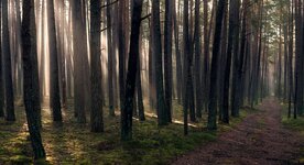 comp_1DS_9685 Kopie.jpg