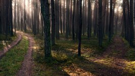 comp_1DS_9688 Kopie.jpg