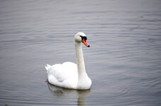 K_500103.JPG