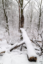 IMG_1353.jpg IMG_1353.jpg