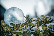 20160119-DSCF8364-2 bearb-..jpg