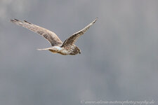 A27O2147-1.jpg