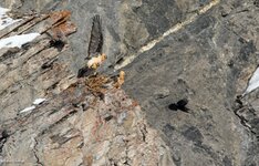 comp_DSC_1638.jpg