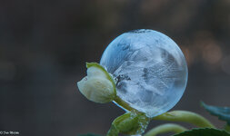 IMG_5044-2.jpg