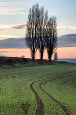 849A5738-Bearbeitet-2.jpg