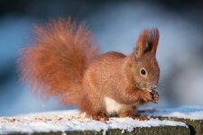 comp_DSC_0805.jpg