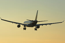 IMG_zze0392.jpg