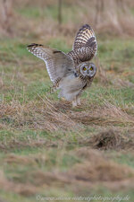 A27O2430-1.jpg