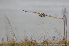 A27O2486-1.jpg