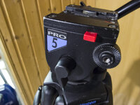 PC165240.jpg