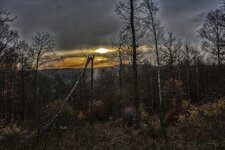 comp_Finsterwald (1 von 1).jpg