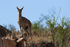 20160210_085901_namibia.jpg