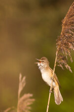 IMG_3890.jpg IMG_3890.jpg