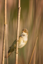 IMG_3954.jpg IMG_3954.jpg