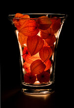 durchlicht2x gerade.jpg