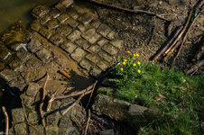 20130505-DSC00853.jpg