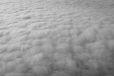_MG_6104.jpg