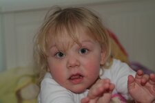 DSCF7992.jpg
