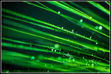 _DSD5280-verkleinert.jpg