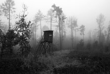 Nebelc.jpg Nebelc.jpg