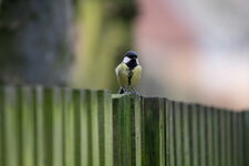 Test100-400-12.JPG
