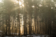 IMG_1648.jpg IMG_1648.jpg