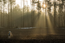 IMG_1646.jpg IMG_1646.jpg