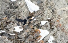 comp_DSC_1368.jpg