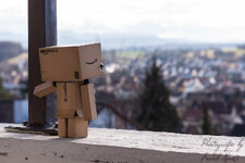 Danbo schaut in die Ferne.jpg