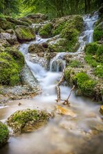 IMG_8425-3b.jpg IMG_8425-3b.jpg